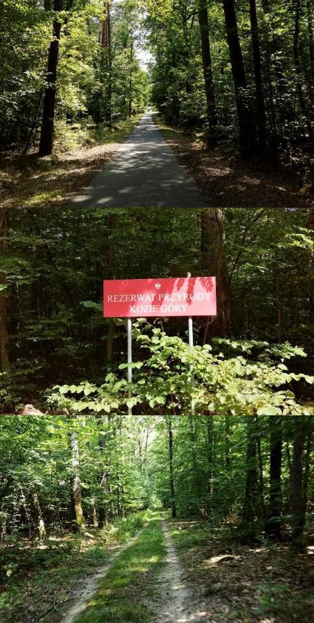 Agroturystyka U Izabelli Niemce Dış mekan fotoğraf
